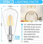 Ralbay ST64 Vintage LED Edison Bulbs 60 Watt Equivalent 6-Pack, Bright Natural White Light 4500K, E26 Antique LED Filament Bulbs, E26 Medium Base