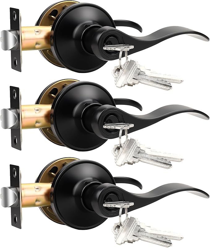 Knobonly 3 Pack Keyed Alike Bathroom/Bedroom Door Lock, Matte Black Front Door Handle, Exterior Door Handle, Same Key for Each Pack, Zinc Alloy