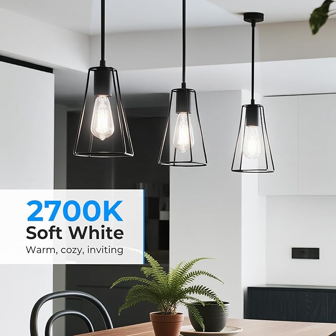 Dimmable LED Edison Bulbs, 4000K Daylight White, 6W Equivalent to 60 watt E26 LED Bulb, ST58 Vintage Light Bulbs, 600LM, 90+ CRI, E26 Base, Clear Glass, 10 Pack