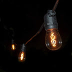 Hometown Evolution, Inc. 100' E26 Commercial Edison Bulb Outdoor String Lights (100 Foot 50 Socket, S14 Zig Zag Edison 11 Watt Light Bulbs)