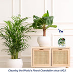 Sparkle Plenty Silk Sensation Artificial Flower & Plant Leaf Cleaner and Shine - Fake Flower Dusting Spray -Silk Plant Cleaner Spray No Wipe - Drip Dry Cleaning Supplies for Artificial Tree (1 Gallon)