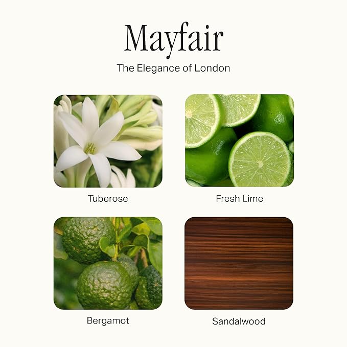 Preston Lane Luxury All-Purpose Cleaner, Mayfair Scent | Bio-Based Multi-Surface Spray | Streak-Free Finish, Lifts Dirt, Smudges & Grease | Vegan & Cruelty-Free