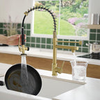 Brushed Gold Kitchen Faucet with Pull Down Sprayer, Commercial Brass Kitchen Faucet Single Handle Spring Faucets for Kitchen Sink Fapully