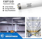 (6Pack F20T12/D Daylight 24 inch 20 watt T12 Straight Fluorescent Light Tube, 1350 Lumens, 6500K Daylight, Medium Bi-Pin G13 Base