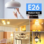 VOLIVO 24 Pack A19 Vintage LED Edison Bulbs, Dimmable, 60W Equivalent, High Brightness 2700K Warm White, 7W E26 Standard Base, CRI80+, 800 Lumens, Clear Glass Filament Bulb for Home, Farmhouse