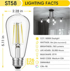 LED Edison Bulbs, 60W Equivalent ST19, Efficient 6W LED, E26 Medium Base Light Bulbs, High Brightness 750 Lumens, 5000K Daylight, Clear, Pack of 4