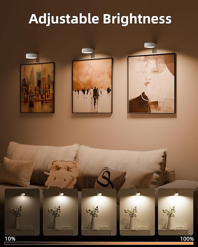 EZVALO Picture Lights for Wall with Charging Station, Rechargeable Battery Magnetic Poster Lights with 3 Color Temps & 12 RGB, Remote Dimmable Timer, Wall Decor Light for Art Display (6 Pack)