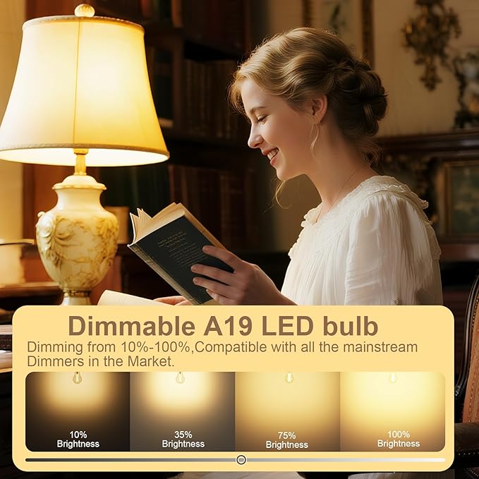 A19 Vintage LED Edison Bulbs, Dimmable, 60W Equivalent, High Brightness 2700K Warm White, 8W E26 Standard Base, 800 Lumens, C80+ CRI Decorative Filament LED Bulb,Clear Glass,12 Pack
