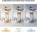 52 Inch Modern Ceiling Fan with Light, 5 Blades, Remote Control, Reversible DC Motor, Stepless Dimmable, Noiseless for Indoor and Use, Black