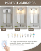 2 Lights Bathroom Light Fixture, 15 Inch Brushed Nickel Bathroom Vanity Lights Over Mirror, Modern Bath Wall Sconce Light with Frosted Glass, OS-YQ9167-2BNW