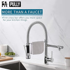 Fapully Chrome Faucet for Kitchen Sink,Kitchen Faucets with Pull Down Sprayer,Commercial Single Handle Kitchen Faucet