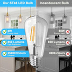 Ralbay ST48 Vintage LED Edison Bulbs 6 Pack, 60W Equivalent, Warm White 2700K, Clear Glass E26 Medium Base