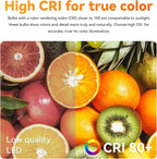 VOLIVO LED Flood Light Bulb 12 Pack, Recessed Ceiling Bulb, BR30, 65W Equivalent Efficient 9W, Dimmable, E26 Base, Warm White 3000K, 800 Lumens, 80CRI, Ceiling Light for Kitchen, Living Room