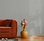 EVOLVE Paint & Primer: Environment-friendly, Low Sheen with One-coat Coverage for Interior & Exterior surfaces (Graphite Gray, 5-Gallon)