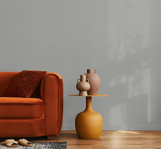 EVOLVE Paint & Primer: Environment-friendly, Low Sheen with One-coat Coverage for Interior & Exterior surfaces (Graphite Gray, 5-Gallon)