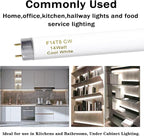 15 Inches T8 Fluorescent Light Bulb 4100K 14 Watt, F14T8/CW 14W Fluorescent Tube,14 Watts, G13 Medium Base, 650 Lumen, 6 Pack