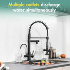 Fapully Commercial Kitchen Faucet with Pull Down Sprayer and Water Filter, Matte Black 3 in 1 Kitchen Faucets with Drinking Water Faucet
