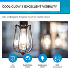 Hizashi Vintage LED Edison Bulb Dimmable, 6W Equivalent 60W, 4000k Neutral White, E26 Base Led Light Bulbs, 700LM, High CRI 95+ Eye Protection, Clear Glass, Pack of 12