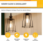 Hizashi LED Edison Bulbs Dimmable, E26 LED Bulb 60 watt, 2700K Soft Warm White, ST19 Vintage Light Bulbs, 95+CRI, UL Listed, 700LM 6W, Clear Glass, Pack of 6