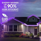 HLO Lighting Set of 25 Purple c9 Faceted LED Christmas Light Bulbs for Indoor & Outdoor Use | Durable Replacement Bulb