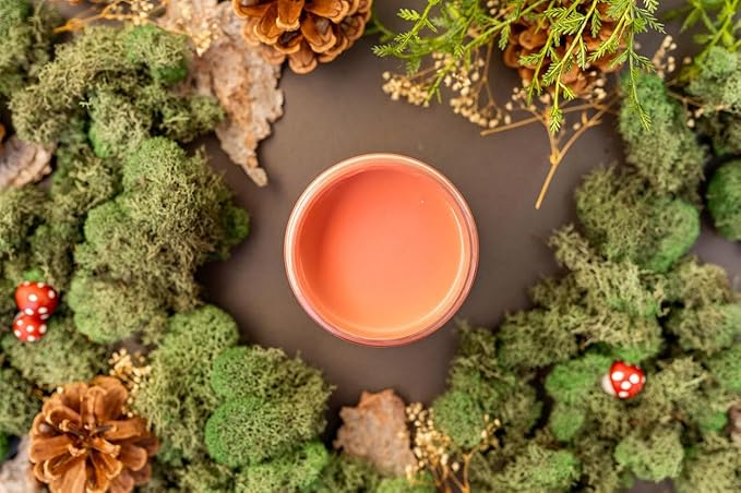 Dixie Belle Paint Company Chalk Finish Furniture Paint - Cottage Door (32oz) - Matte Dusty Coral Chic Chalk Mineral DIY Furniture Paint