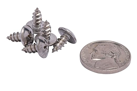 Bolt Dropper Stainless Truss Head Phillips Wood Screw (100 Piece) 18-8 (304) Stainless Steel Screws - ssd Screws