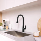 American Standard 1048812430 Aspirations Single-Hole Kitchen Sink Faucet with Pull-Down Sprayer, 1.8 GPM, Matte Black