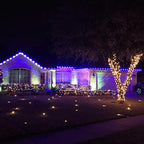 C7 Replacement Light Bulbs, 25 Pack Transparent Blubs for Outdoor String Lights, Multicolor, E12 Candelabra Vintage Christmas Bulbs