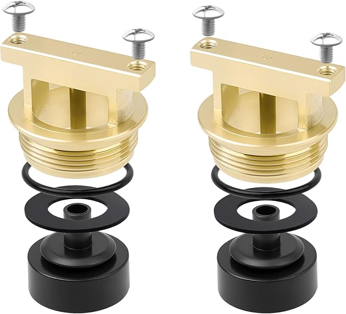 B-0969-RK01 Vacuum Breaker Repair kit for t&s WATTS LF288A 288A Faucet - 2 PK