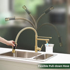Fapully LED Kitchen Sink Faucet with Pull Down Sprayer Brushed Gold