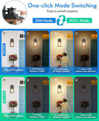 VIANIS 2 Packs Dusk to Dawn Outdoor Lighting for House, Wood Grain Motion Sensor Outdoor Lights Fixture, Garage Light Sconce Wall Mount, Lantern with Waterproof, Anti-Rust 100%, Weather Resistant