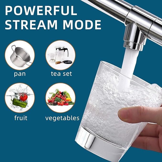 Fapully Chrome Kitchen Faucet with Sprayer,Commercial Single Handle Pull Down Kitchen Sink Faucet