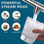 Fapully Chrome Kitchen Faucet with Sprayer,Commercial Single Handle Pull Down Kitchen Sink Faucet