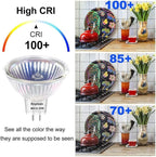 MR16 Halogen Bulb, Dimmable with GU5.3 Base Long Lasting, 3 Pack MR16 12V 20W 2800K Warm White, High Brightness 300LM with Clear Glass Cover, Bulb for Landscape, Track Light