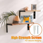 KURUI Drywall Anchors Assortment Kit for Sheetrock Concrete Brick, 350Pcs Wall Anchors and Flat Head Screws, 5 Sizes Picture Hanging Set for Bedroom/Office Wall Art Decor, House Warming Gifts New Home