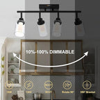 4-Light LED Black Dimmable Track Lighting Kit, 5-Color Temperature Adjustable Directional Ceiling Spotlight, Bathroom Wall Lamp with Integrated LED Chips