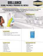 Brilliance Metal Polish and Preservative, Professional Grade, Case of 12