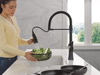 Delta Ermelo Pro Style Commercial Kitchen Faucet with Pull Down Sprayer, Single Hole Matte Black Kitchen Sink Faucet, Single Handle, Matte Black 18887-BL-DST
