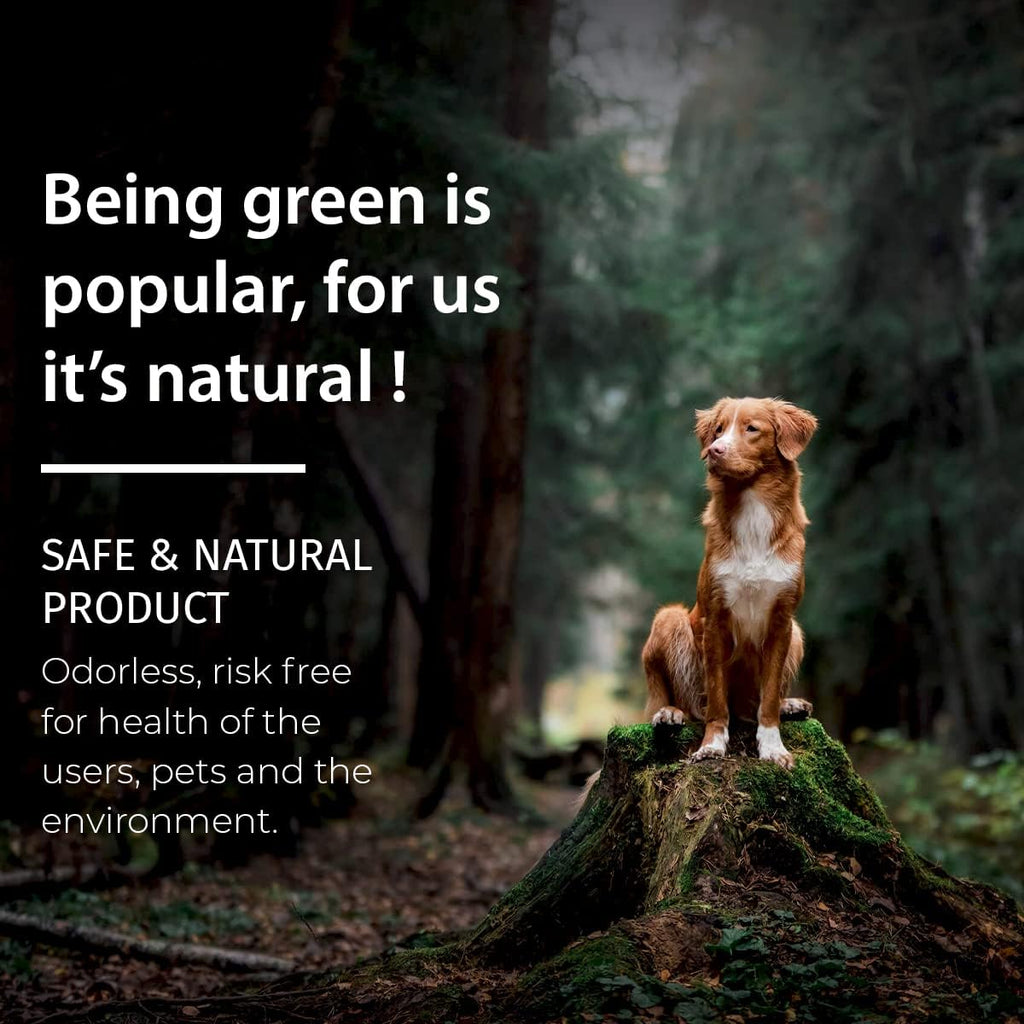 SamaN TSP Eco – Heavy Duty Cleanser and Degreaser (16 oz Concentrated 41508)