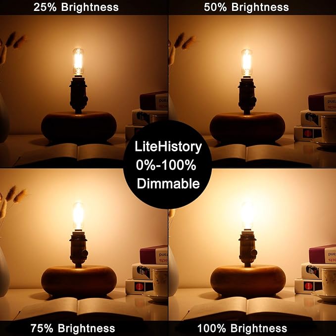 LiteHistory Dimmable t6 led Bulb 40W Candelabra led 2700K Clear 400lm 4W e12 Edison Bulb Warm White 6Pack