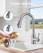 WEWE Kitchen Faucets with Pull Down Sprayer, Stainless Steel Single Handle 1 Hole for Family Kitchen Commercial Camper Laundry Rv Bar, Brushed Nickel