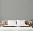 EVOLVE Paint & Primer: Environment-friendly, Low Sheen with One-coat Coverage for Interior & Exterior surfaces (Graphite Gray, 1-Gallon)