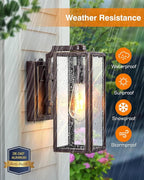 VIANIS Dusk to Dawn Outdoor Light Fixtures Wall Mount, Sensor Porch Lights, Anti-Rust Exterior Wall Sconce Lighting Lamp, Waterproof Coach Lantern for Doorway, Garage