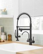 Fapully Commercial 3 Way Kitchen Faucets with Pull Down Sprayer and Water Filler,3 in 1 Kitchen Sink Faucet with Drinking Water Faucet Matte Black