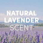 Clean Revolution SuperCharged Multi Surface Cleaner Refill Supply, Non-Toxic, Eco-Friendly & Plant-Based, Ready to Use, Seaside Lavender, 18 oz (Pack of 1)