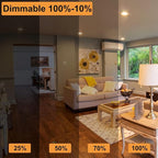 MR16 Halogen Bulb 20W 12V - 6 Pack MR16 Bulb 20W Warm White 2800K, MR 16 Dimmable GU5.3 Base, Long Lasting MR 16 GU5.3 Halogen Bulb for Landscape, Track Lights, and Fiber Optics