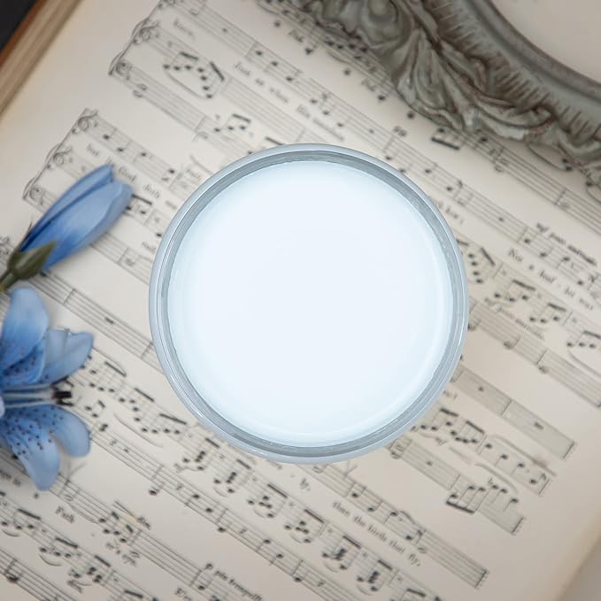 Dixie Belle Paint Company Chalk Finish Furniture Paint - Haint Blue (8oz) - Matte Pastel Blue Chic Chalk Mineral DIY Furniture Paint