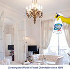 Sparkle Plenty Silk Sensation Cleaning Solutions Bundle - Sparkle Plenty Chandelier Cleaner Drip Dry Spray No Wipe & Silk Plant Cleaner Spray No Wipe - Artificial Plants & Flowers Spray Away Cleaner