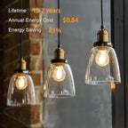 TJOY 24 Pack A19 Vintage LED Edison Bulbs, Dimmable, 60W Equivalent, High Brightness 2700K Warm White, 8W E26 Standard Base, 800 Lumens, CRI80+, Clear Glass Filament Bulb for Home, Farmhouse