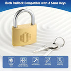 HOX Solid Brass Keyed Different Padlock with 1-9/16-Inch Wide Body, Brass Cylinder - for Hasp Latch, Sheds, Fences, Storage Locker, 12-Pack